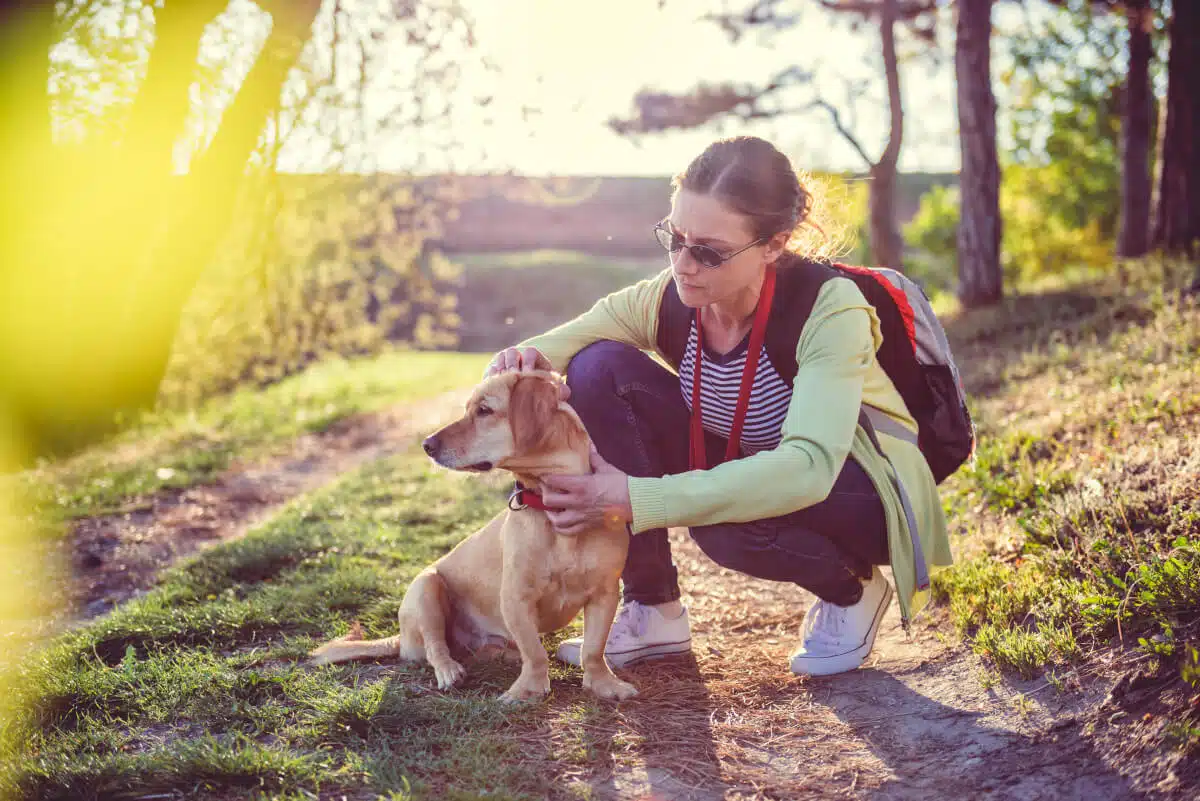 Flohhalsband Hund Seresto