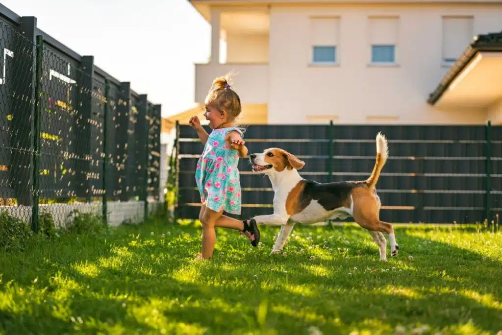 Hundeauslauf