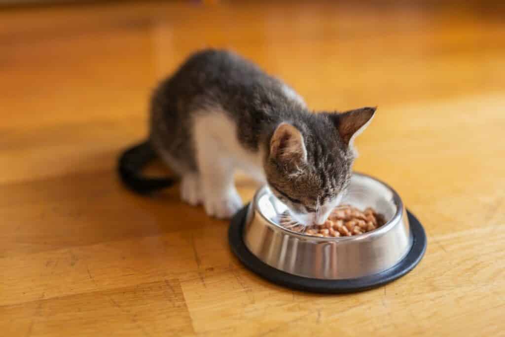 select gold katzenfutter