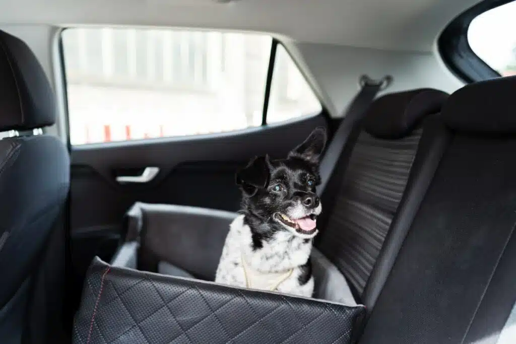 LITZEE Hunde-Autozubehör Auto-Autositz für Hunde oder Katzen, Hunde-Auto-Tragetasche,  Korb, wasserdichtes Oxford-Stoff, Booster-Abdeckung mit  Reise-Sicherheitsgurt für Chinots (schwarz + weiß)