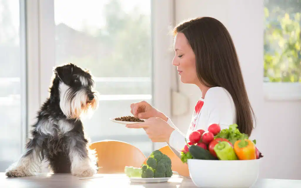 Gemüseflocken Hund