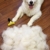 FURminator deShedding Hunde-Pflegewerkzeug zur Fellpflege – Hundebürste in Größe L zur gründlichen Entfernung von Unterwolle und losen Haaren - für langhaarige Hunde - 5