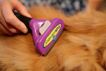 FURminator deshedding Tool für Katzen – Katzenfellbürste in Größe S zur gründlichen Entfernung von losen Haaren sowie Reduzierung von Haarballen - für langhaarige Katzen - 3