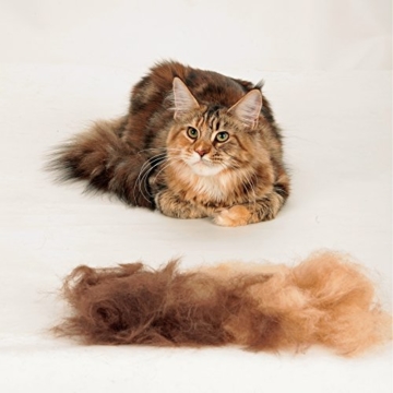 FURminator deshedding Tool für Katzen – Katzenfellbürste in Größe S zur gründlichen Entfernung von losen Haaren sowie Reduzierung von Haarballen - für langhaarige Katzen - 5