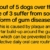 Pedigree Denta Stix Fresh Hundeleckerli für kleine Hunde, Kausnack gegen Zahnsteinbildung, Für gesunde Zähne und einen frischen Atem, 1er Pack (1 x 10 Pack) - 6
