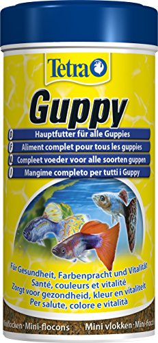 Tetra Guppy (Hauptfutter für Guppys und andere lebendgebärende Zahnkarpfen, Miniflocken mit Farberstärkern), 250 ml Dose - 1