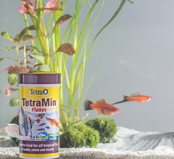 TetraMin (Hauptfutter für alle Zierfische in Flockenform, für ein langes und gesundes Fischleben und klares Wasser, plus Präbiotika für verbesserte Körperfunktionen und Futterverwertung), 1 Liter Dose - 7