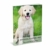 Villkin 2X Hundepfeife +Bonus: Hunde-clicker, Schlüsselband und E-Book - Kontrolle erlangen und Bellen stoppen - Schwarz/Silber mit Einstellbarer Frequenz - 5