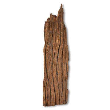 Wurzel Mangrovenwurzel Holz Treibholz für Terrarium Aquarium Zubehör Garten Deko Reptilien Echtholz 40 - 80 cm 100 % Natur *alles Einzelstücke* - 3