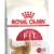 Royal Canin Katzenfutter Feline Fit 32, 1er Pack (1 x 10 kg Packung) - 1