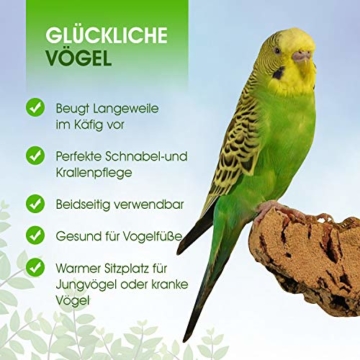 VogelKing Korksitzbrett Ecke - Klein für Vögel + Premium Vogel-Sitzbrett aus Kork für Wellensittiche, Nymphensittiche, Papageien und Co. | 100% Bio und gesundes Knabber-Spielzeug - 2