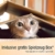 Bella & Balu Katzennetz inkl. Haken, Dübel, Rundumseil und Anleitung – Transparentes Schutznetz für Katzen zur Absicherung von Balkon, Terrasse, Fenster und Türen (transparent | 4 x 3 m) - 5