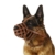 CollarDirect Maulkorb für Hunde Deutscher Schäferhund Dalmatiner Rottweiler, Setter Leder Korb Medium Große Rassen schwarz braun, L, Chestnut Brown - 3