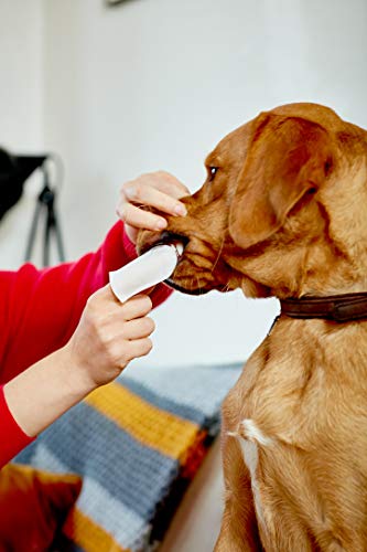 Vet's Best Hunde Zahnreinigungstücher 50 Stück - 3