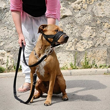 ILEPARK Maulkorb aus Nylon um Hunde vom Beisen, Bellen und Kauen abzuhalten, anpassbare Schlinge (L,Schwarz) - 6