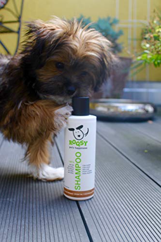 ROQSY Natur Hundeshampoo vegan Naturshampoo für Hunde Aller Rassen, Größen und Fellfarben; gegen Geruch und Juckreiz, für weisses Fell, Naturprodukt, auch für Welpen und Sensible Haut oder Allergien - 6