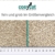 COSYCAT Klumpendes Bio-Katzenstreu aus Holz [100% Natürlich] – 40 l - in der Toilette entsorgbar – Klumpstreu pflanzlich - Holzstreu - 2