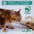 COSYCAT Klumpendes Bio-Katzenstreu aus Holz [100% Natürlich] – 40 l - in der Toilette entsorgbar – Klumpstreu pflanzlich - Holzstreu - 6