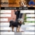 DDOXX Roll-Leine reflektierend, ausziehbar | viele Farben & Größen | für kleine & große Hunde | Gurt-Leine Hundeleine einziehbar Welpe Katze | Hundeleinen Zubehör Hund | S, 4 m, bis 10 kg, Blau - 7