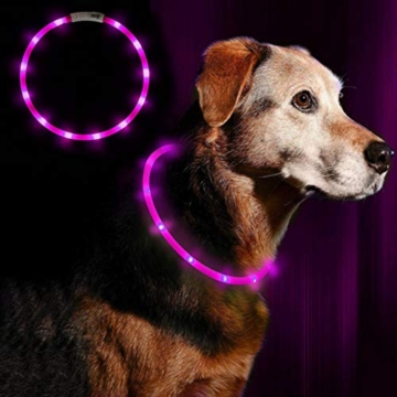 LED Leuchthalsband Hunde Halsband - Anicoll USB wiederaufladbar - Längenverstellbarer Haustier Sicherheit Kragen für Hunde und Katzen- 3 Modus 12 Lichte (Lila) - 1