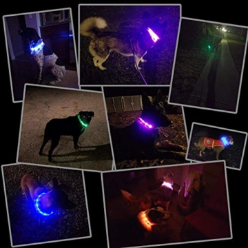 Anicoll LED Leuchthalsband Hunde Halsband USB wiederaufladbar 3 Modus 12 Lichte Längenverstellbarer Haustier Sicherheit Kragen für Hunde und Katzen