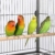 Yaheetech Vogelvoliere Nagerkäfig aus Metall Vogelkäfig mit schmutzwanneneinsatz für Nymphensittiche, Papageien, Tauben, Sittiche, Finken - 8