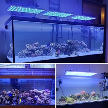 Aquarium LED Beleuchtung, Dimmbare Meerwasser LED Beleuchtung mit Fernbedienung, Aquarium Lampe Korallenriff Licht mit Timer, Simulieren Sie Sonnenaufgang und Sonnenuntergang - 6