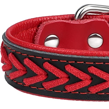 TagME Hundehalsband Leder für Mittlere Hunde,Geflochtenes, Weich Gepolstert Hundehalsbänder mit Doppelten D-Ringen, Rot M - 4