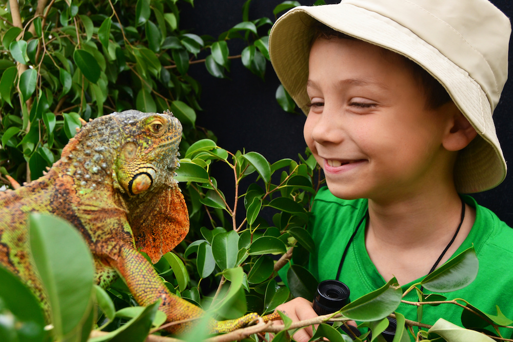 Reptil und Kind