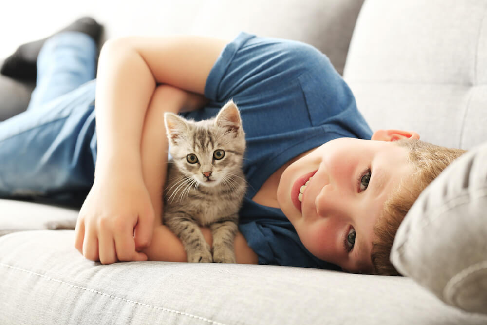 Voraussetzungen für die Katzenhaltung
