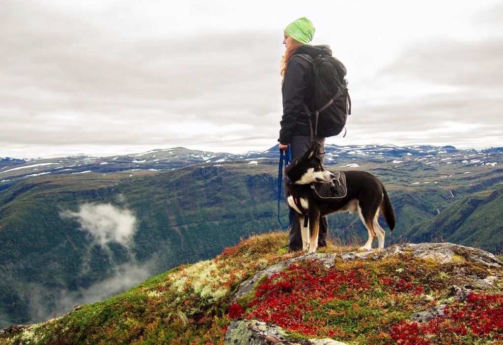 Wandern mit Hund 1