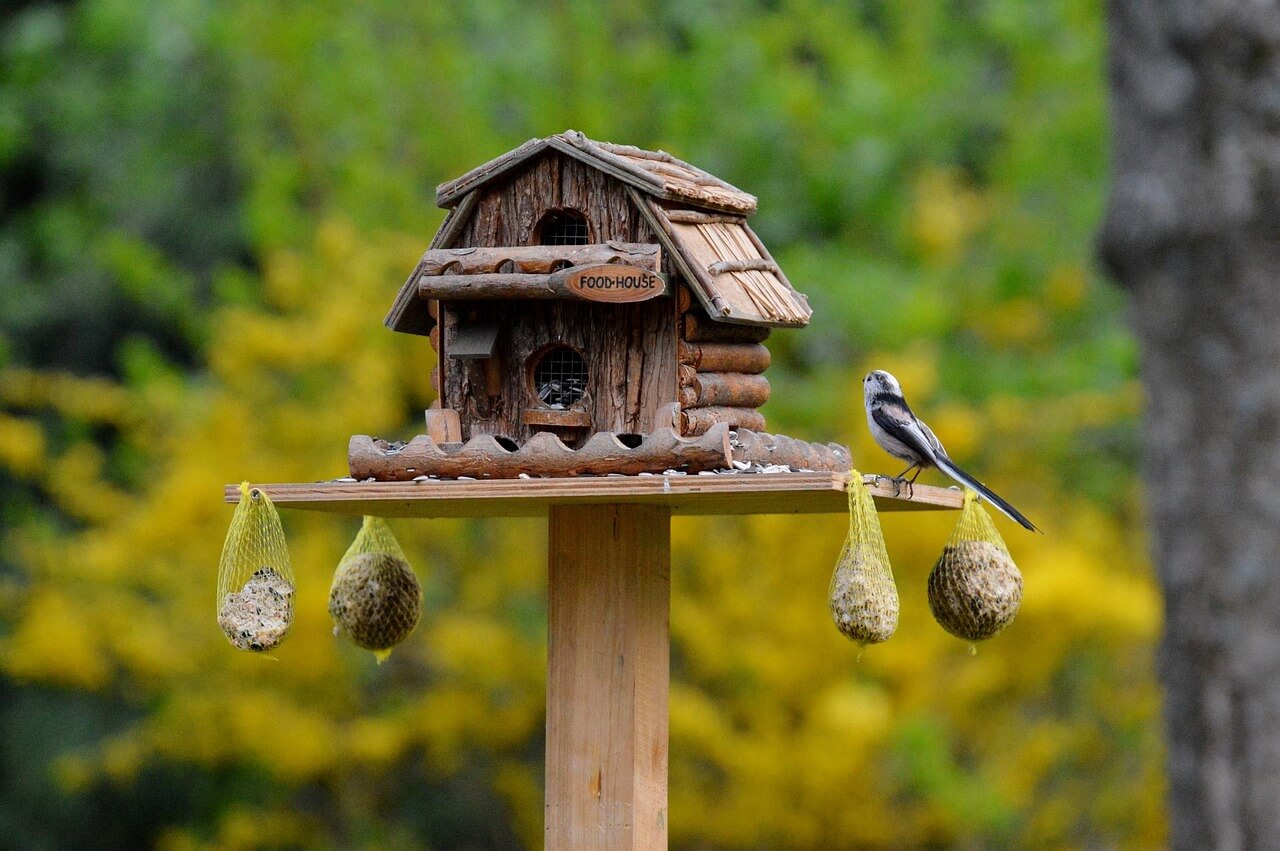 bird 740970 1280 2