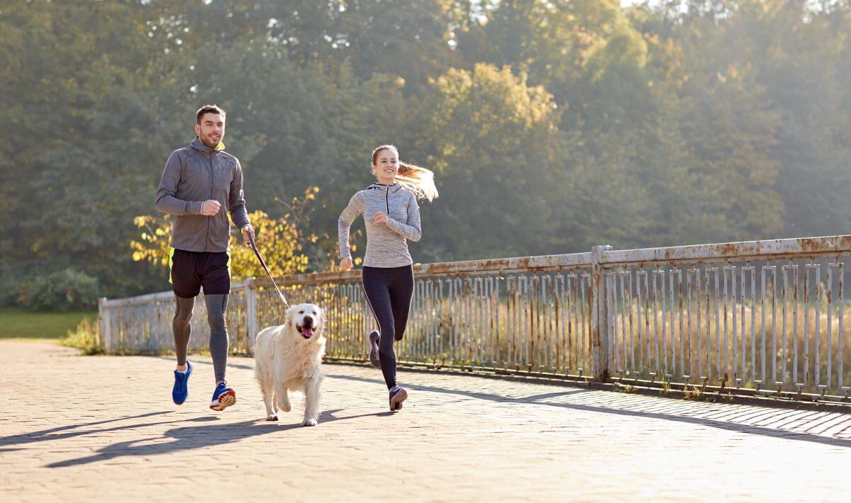 joggen-mit-hund