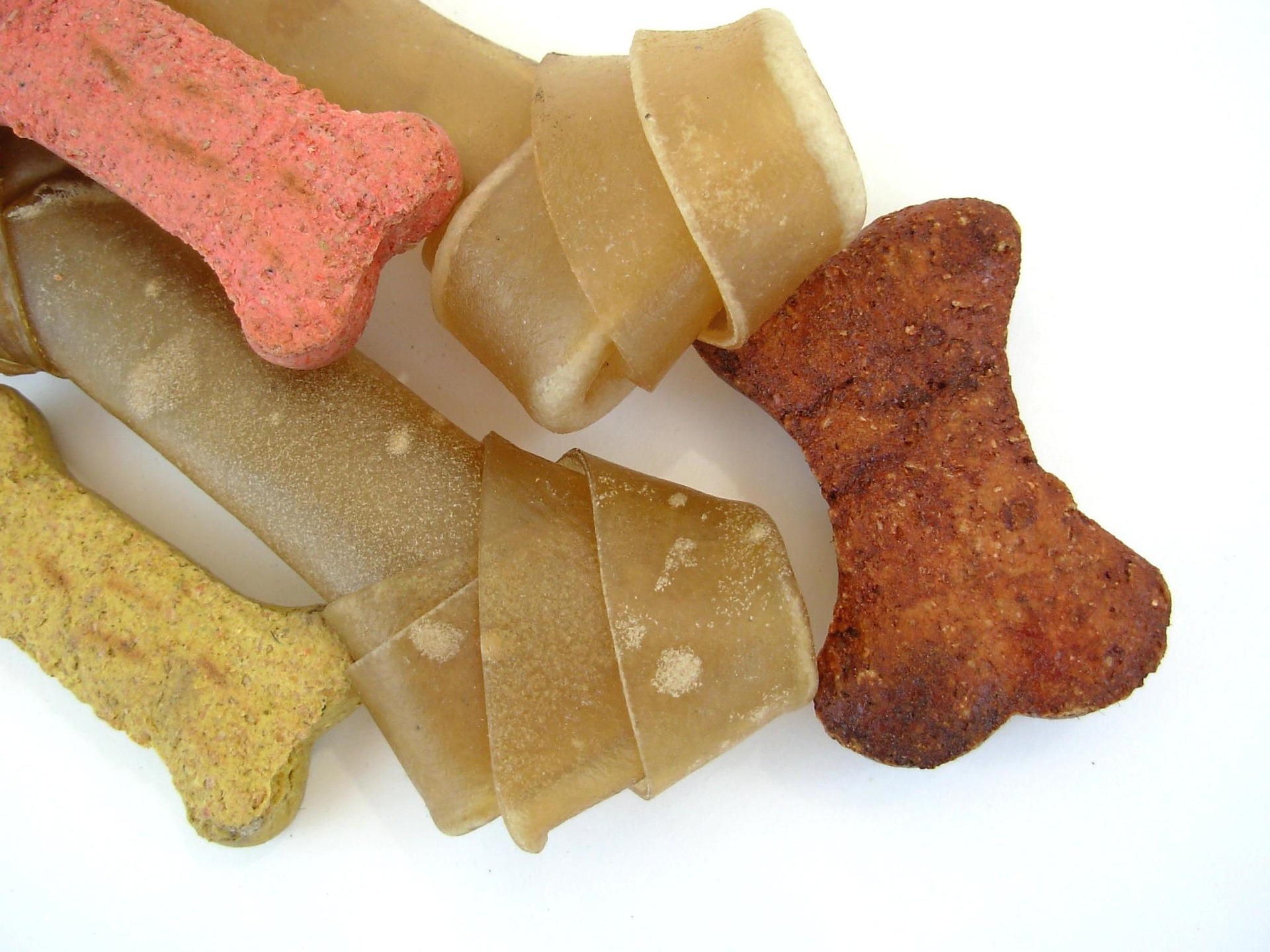dog bones gfe6828dfc 1920