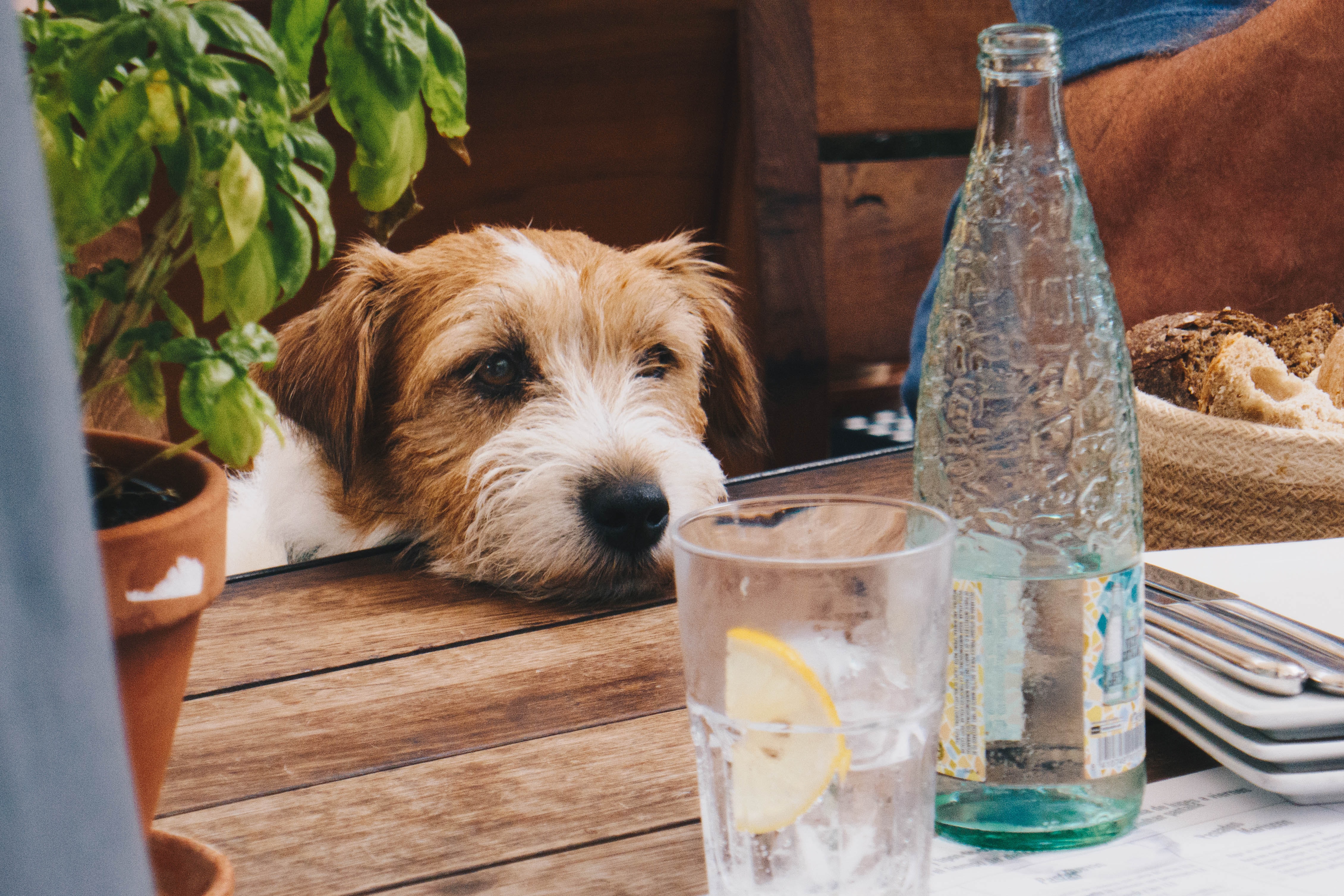 daniel brunsteiner jd5ryWK5J4 unsplash
