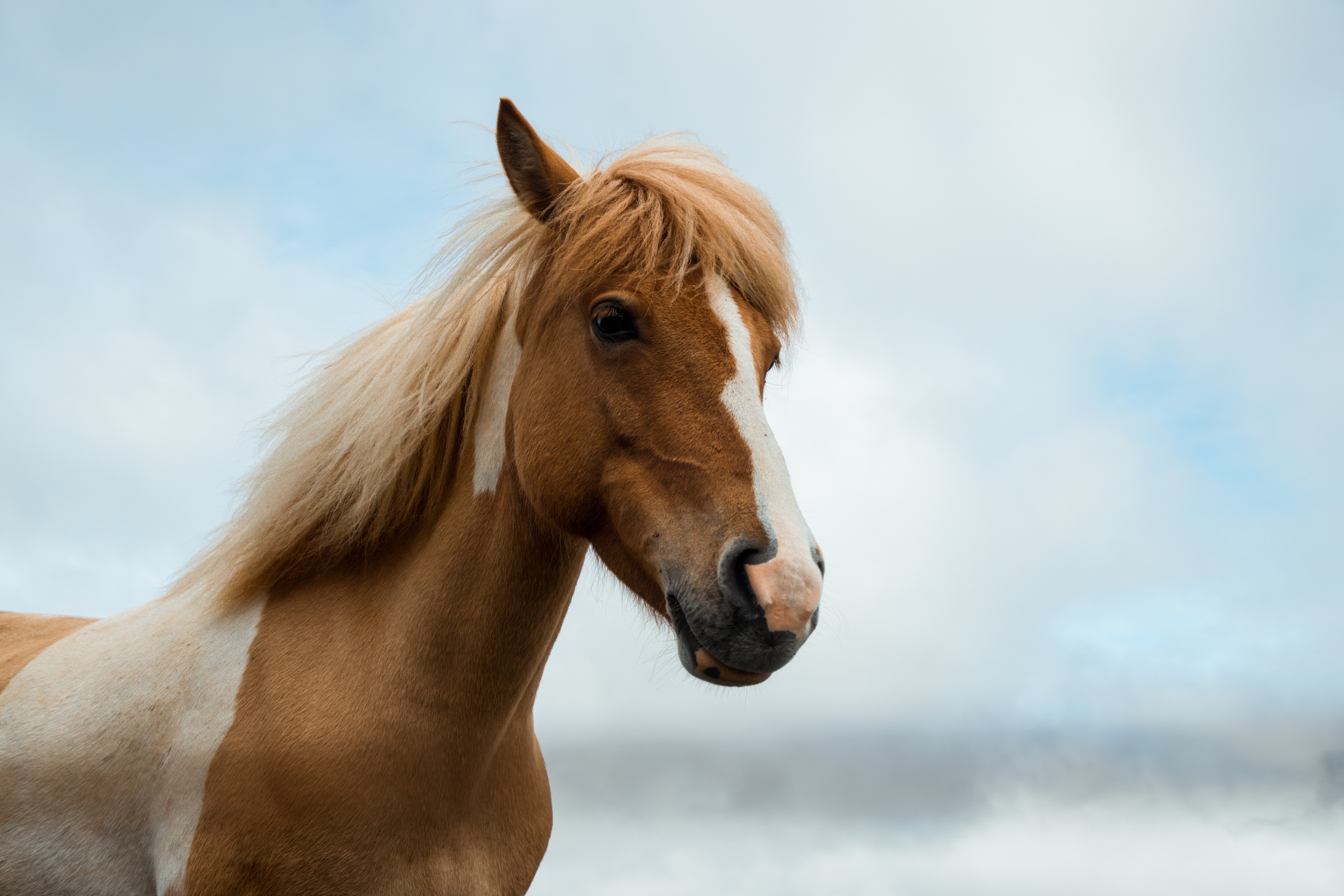 silje midtgard 0F9oVQ3x2ak unsplash