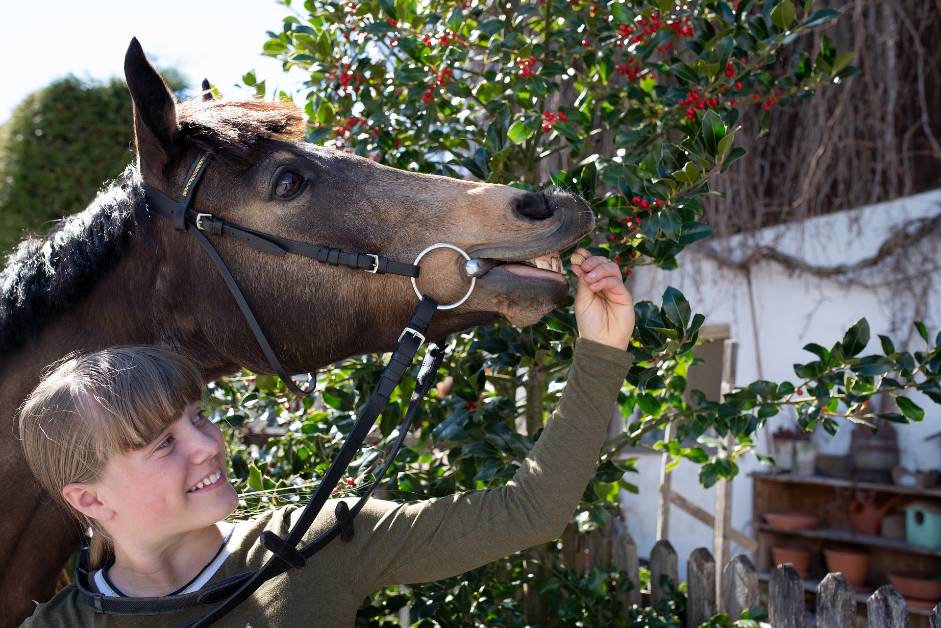 horse g390f1680d 1920