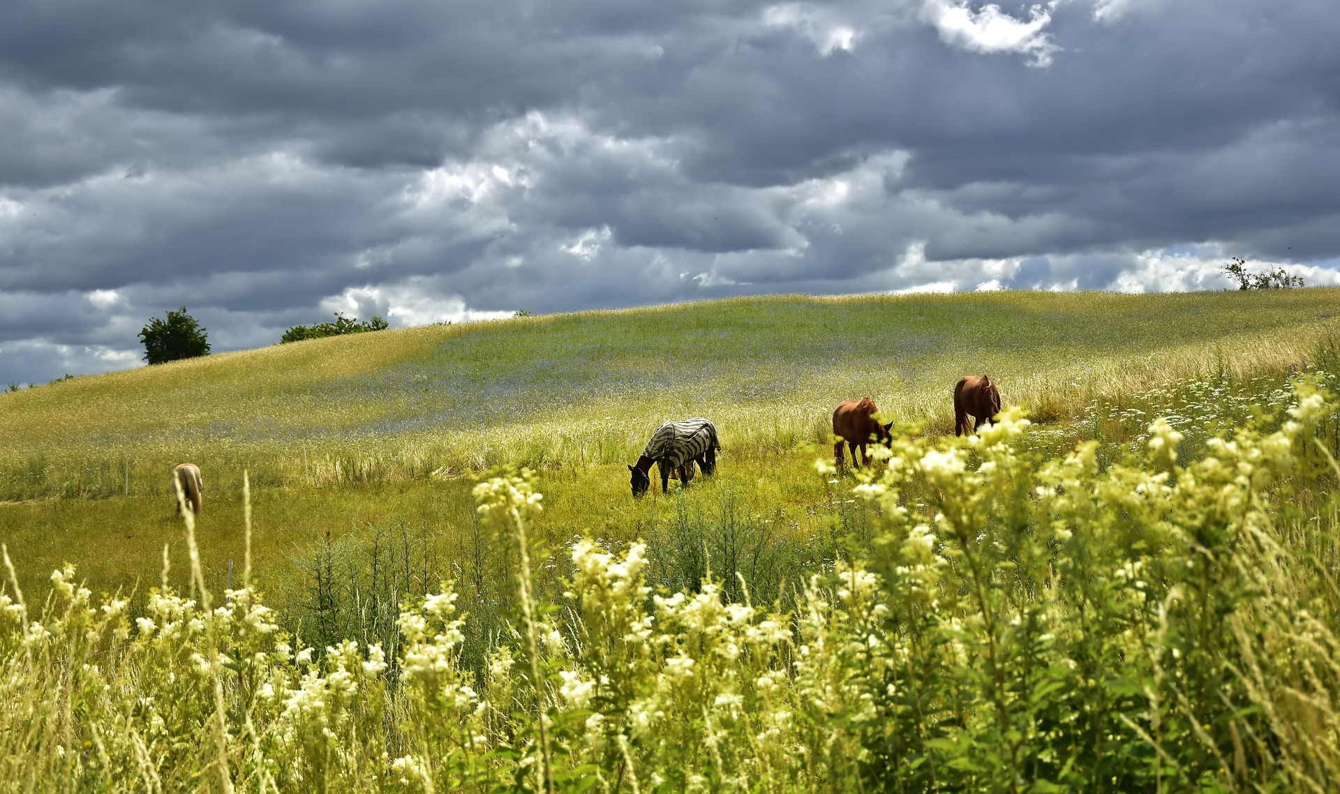 landscape g6aa587042 1920