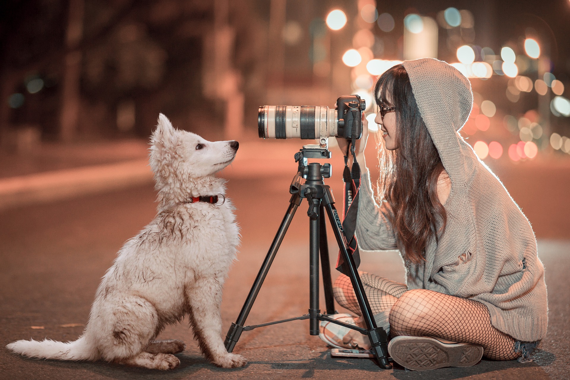 puppy gf2ac2ce6a 1920