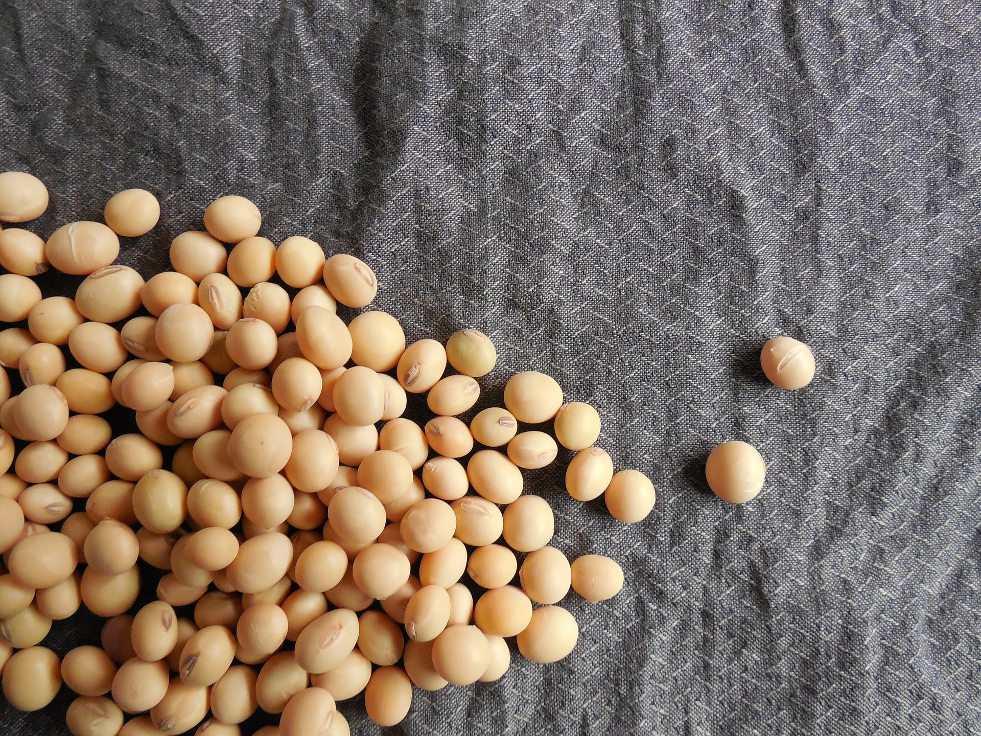 soybeans g1e5a536e8 1920