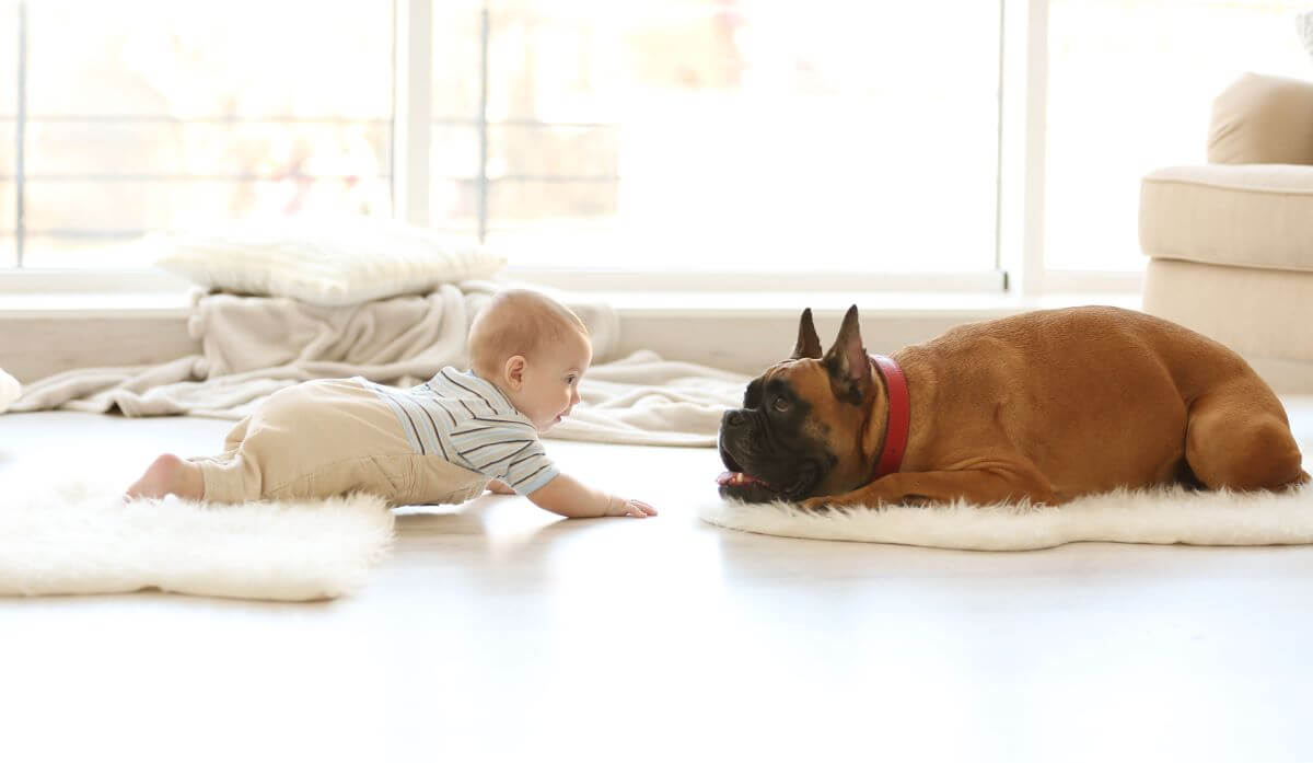 hund-und-baby