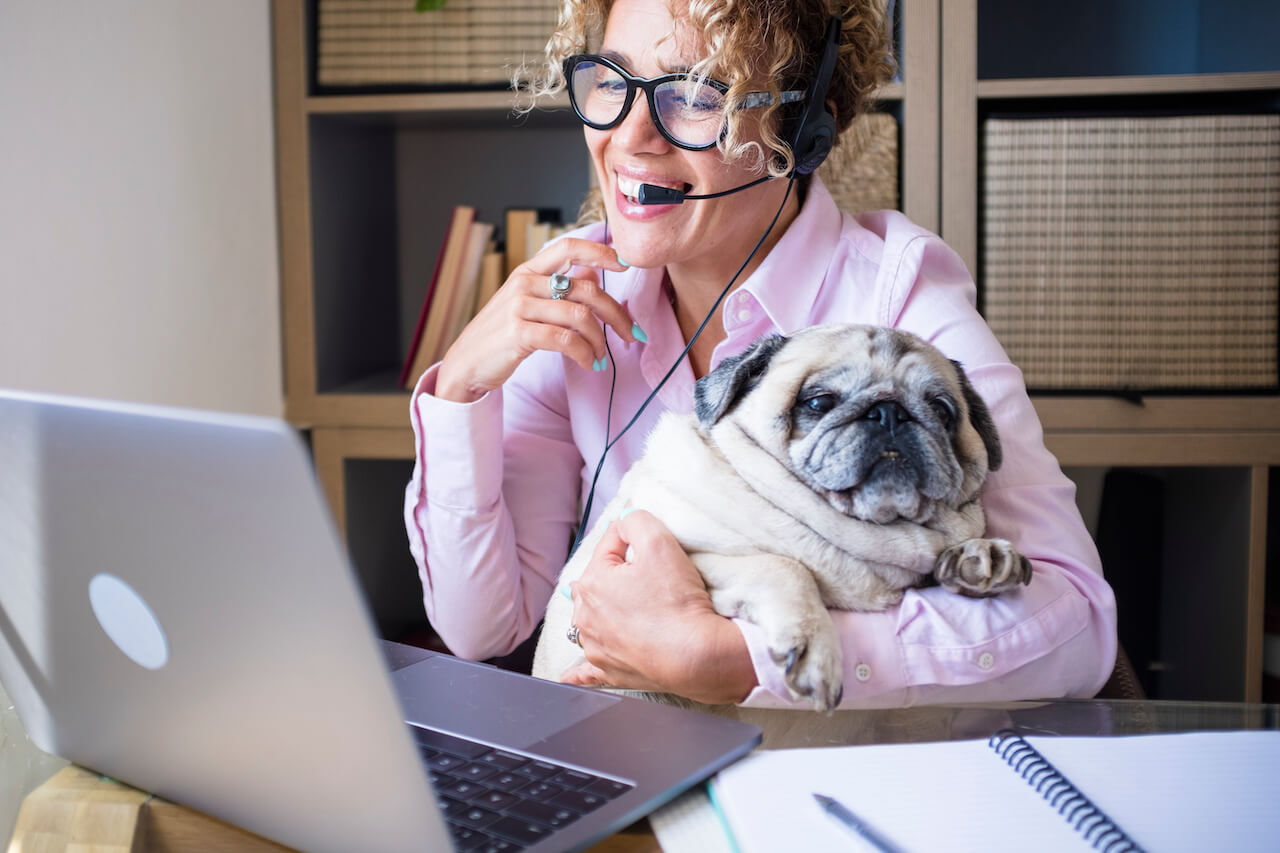 Hunde für Berufstätige