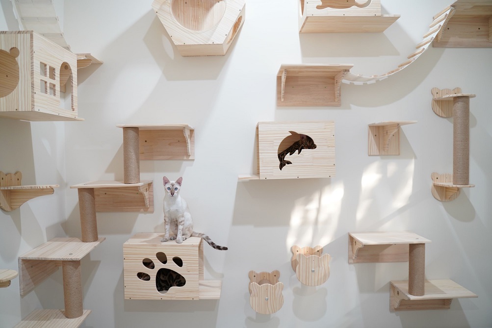 catwall2