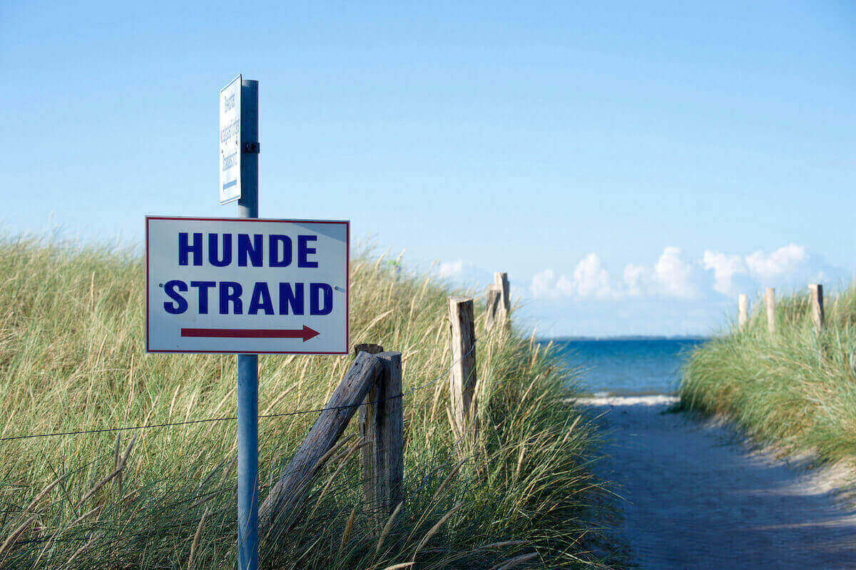 Hundestrände an der Ostsee