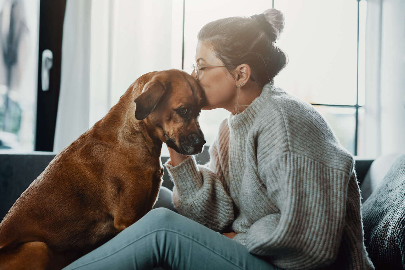Hund drückt Kopf an mich