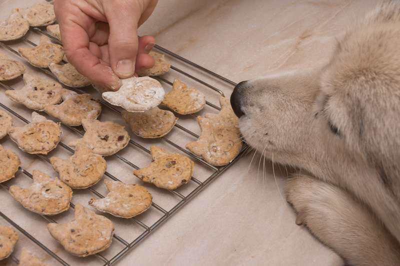 hundekekse
