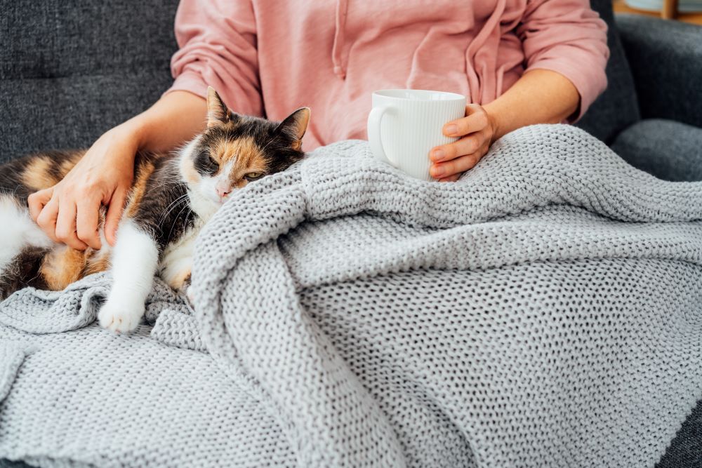 katze zum urinieren bringen katze zum urinieren bringen
