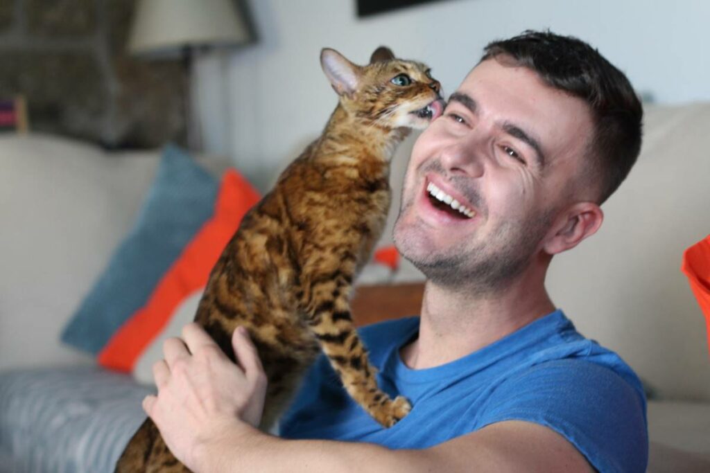 katze schleckt mich ab