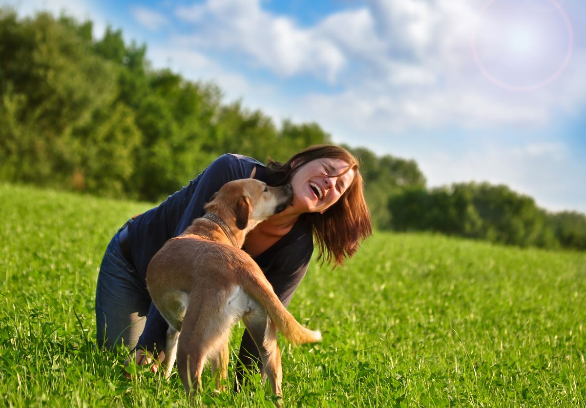 spielen mit hund