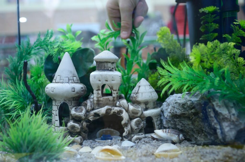 aquarium einrichten